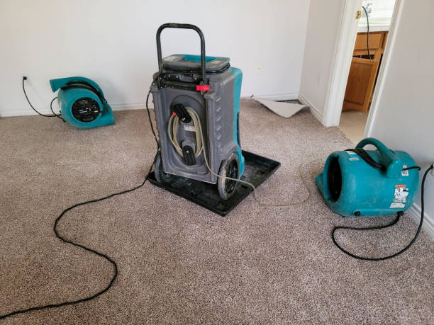Best Local water damage restoration  in Nipomo, CA