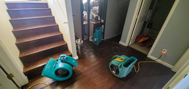 Best Sewage cleanup and water damage restoration  in Nipomo, CA