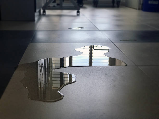 Best Professional water damage repair  in Nipomo, CA