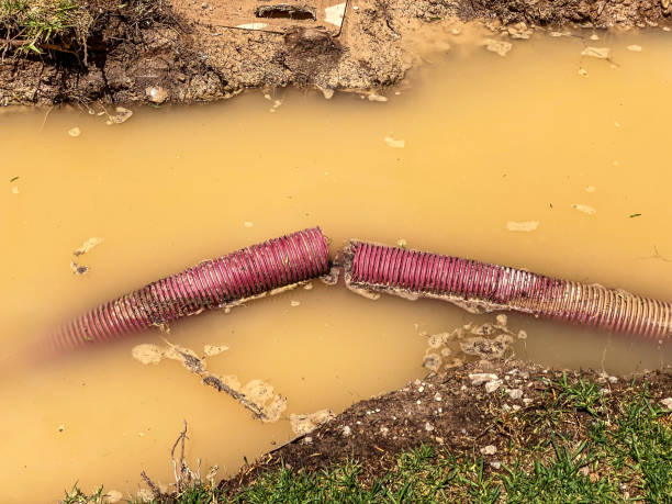 Nipomo, CA Water damage restoration Company